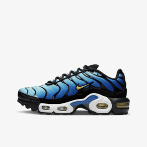 Nike Air Max Plus - Bleu