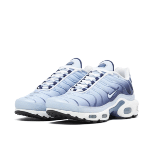 Nike Air Max Plus Celestine Bleu